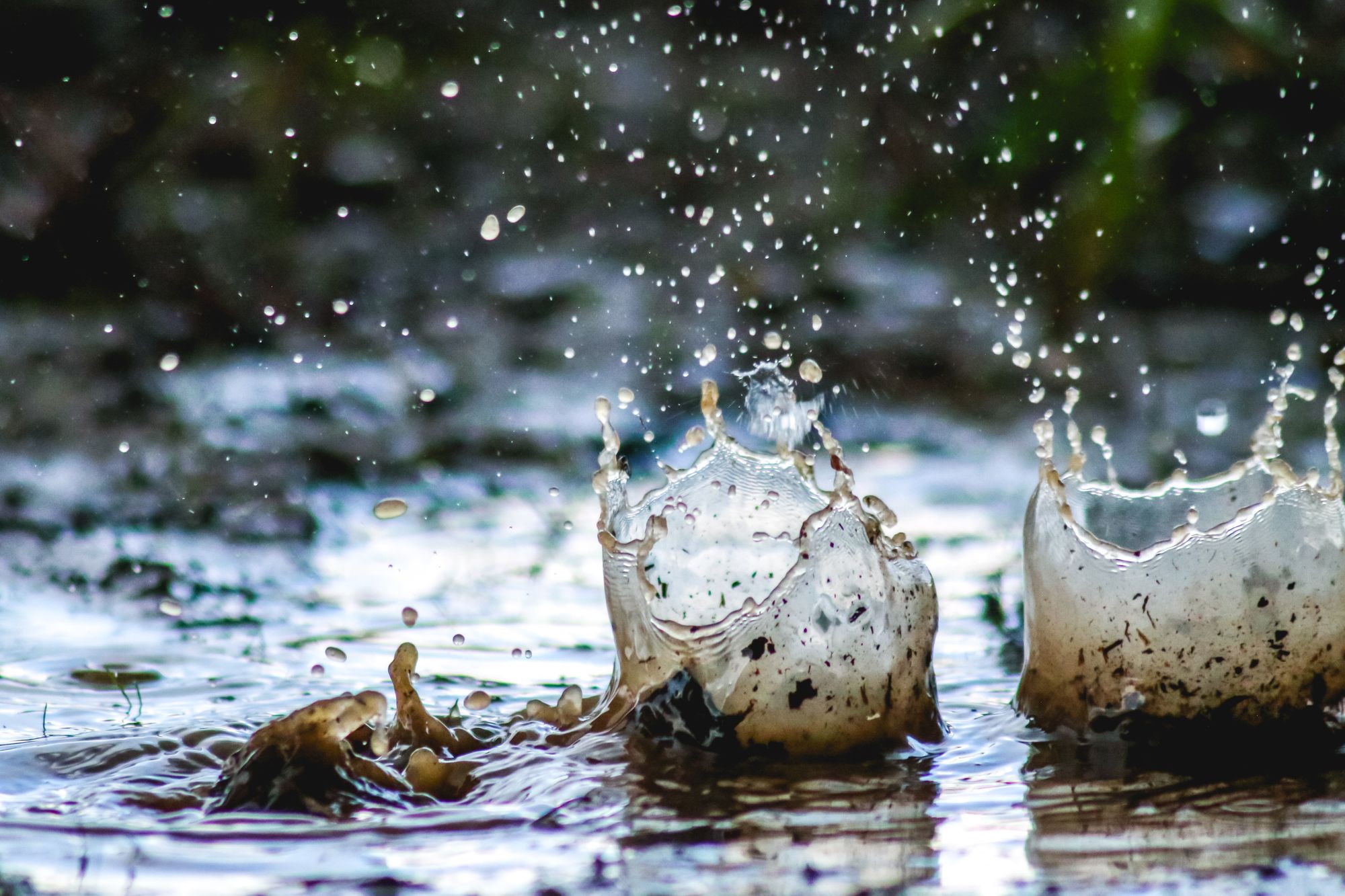 A muddy puddle